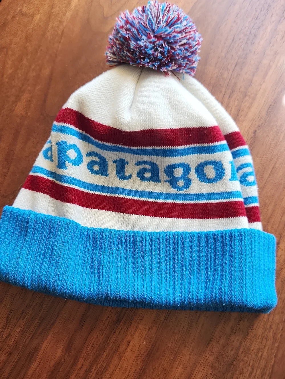 Patagonia Winter Beanie